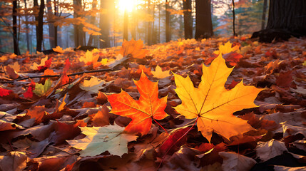 The brilliance of colorful autumn maple leaves in a forest setting, illuminated by the warm hues of a setting sun. Generative Ai