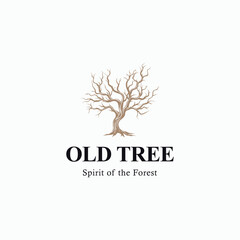 Vintage retro old oak tree logo vector