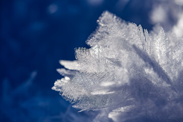 Macro snow flakes and ice feather like micro crystal structures. Frozen water after a cold winters...