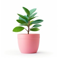 Vibrant Image of a Potted Plant Isolated on a White Background Bringing a Touch of Nature Indoors
