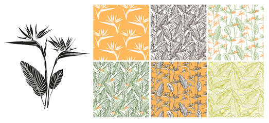 Bird of paradise flower tropical strelitzia floral seamless pattern set with green and orange colors. Vector background for prints, fabric, wallpapers, wrapping paper, poster, card