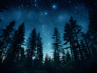 Fototapeta na wymiar A starry night sky above a tranquil forest