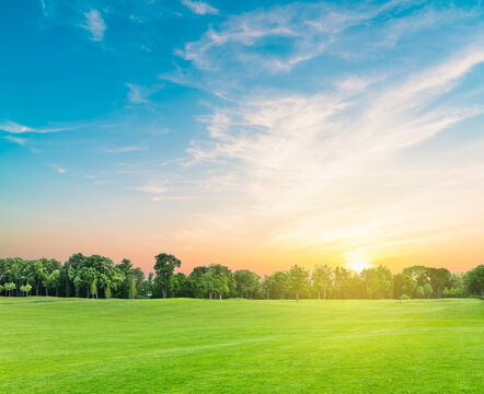 Summer park with blue sky