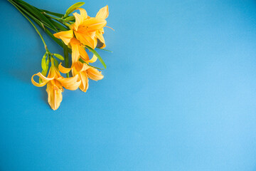bouquet of beautiful yellow lilies on blue background