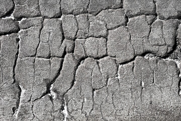 Black cracks background. Scratched lines texture. White and black distressed grunge pattern. Peel paint crack. Weathered rustic surface. Dry paint overlay. Cracked asphalt backdrop.