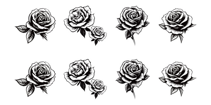 set of black and white silhouettes rose flower
