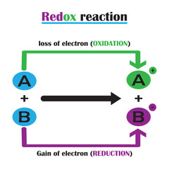 Reaction of electron transfer in oxidation-reduction .Vector illustration.