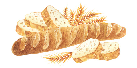 Fresh Baguette whole and cut in half, French bread with ears of wheat. Hand drawn watercolor illustration, isolated on white background