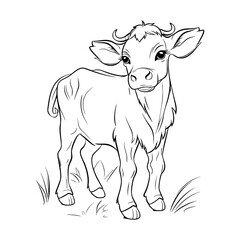 Cow illustration coloring pages - coloring book