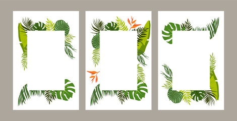 Collection of vertical summer backgrounds with frames of green tropical palm leaves or jungle exotic foliage. Seasonal colorful realistic vector illustration.