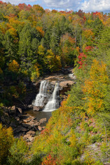 Fototapeta na wymiar Fall Color in Blackwater Falls State Park