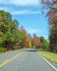 Fototapeta premium road in autumn forest