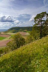 Weinberge bei Ramsthal im Abendlicht, Landkreis Bad Kissingen, Franken, Unterfranken, Bayern, Deutschland