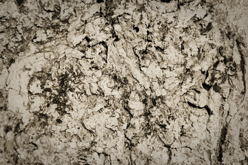 Textur