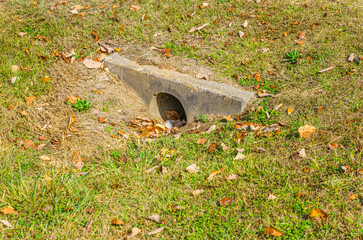 old culvert in autumn