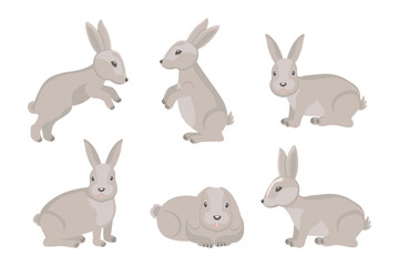 Set of cute gray rabbits, hares. Cartoon illustration, Easter design elements, vector