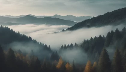  Beautiful View of Misty Mountain Forest Landscape Wallpaper Background © Nouzen