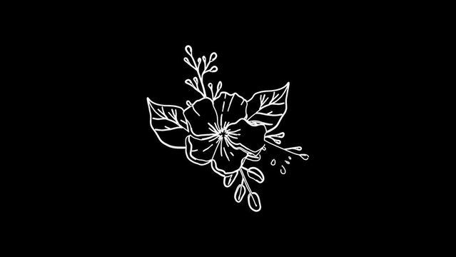leaf and flower drawing animation line drawing animation with leaf and flower black screen  