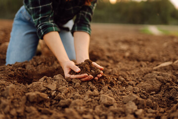 Woman's dirty hands hold black soil on the field. An experienced female agronomist checks the...