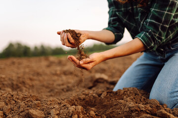 Woman's dirty hands hold black soil on the field. An experienced female agronomist checks the quality of the soil before sowing. Farming, gardening concept.