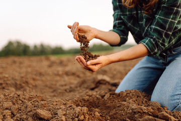 Woman's dirty hands hold black soil on the field. An experienced female agronomist checks the quality of the soil before sowing. Farming, gardening concept.