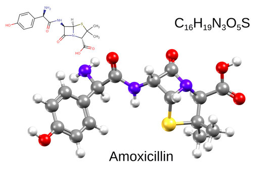 Chemical formula, structural formula and 3D ball-and-stick model of antibiotic amoxicillin