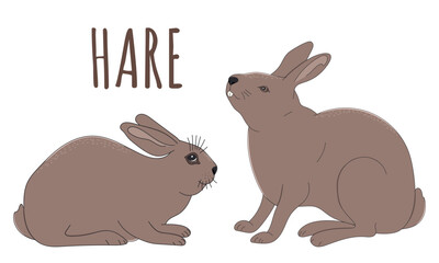 Hares on a white background. Vector illustration of two hares.Hand drawing
