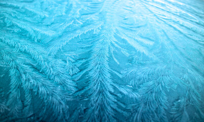 Winter frosty feather ice pattern on a window