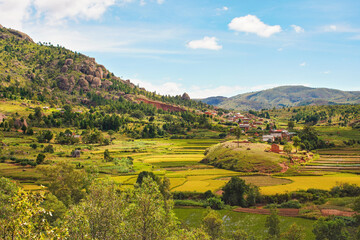 Typical Madagascar landscape in region near Tsiafahy, small hills covered with green grass and...