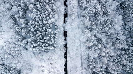 Waldstraße durch verschneiten Wald im tiefsten Winter