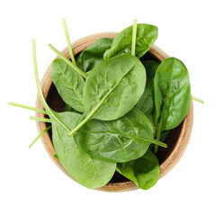 wooden round plate with fresh spinach leaves, top view. isolated on white background