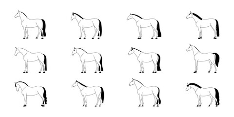Set of black and white outline of horses of riding breeds of different conformation