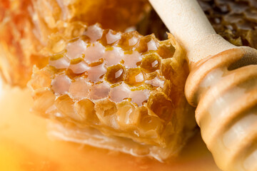 honeycomb and honey dipper close-up