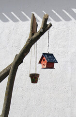 Colorful flowerpot and birdhouse on a tree in Atalaya del Cañavate, Cuenca.