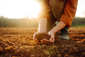 Young female farmer's hands touch dry soil in an agricultural field. A woman agronomist sorts through the black soil, checking the quality of the soil before sowing. Gardening and ecology concept.