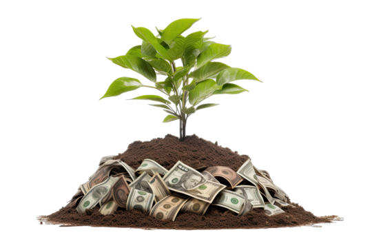 a plant growing in pile of money On Transparent Background