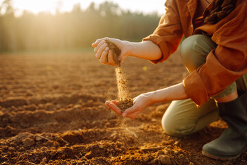 Young female farmer's hands touch dry soil in an agricultural field. A woman agronomist sorts...