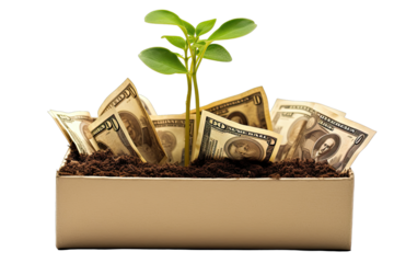 a plant growing in box of money On Transparent Background