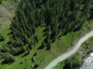Aerial view of a green mountain landscape and alpine meadows where a river flows from the mountains and a beautiful coniferous forest stretches.