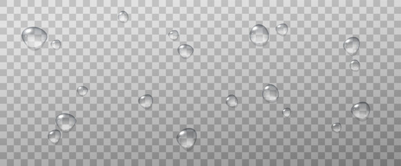 Realistic vector water drops png on a transparent light background. Water condensation on the surface with light reflection and realistic shadow. 3d vector illustration