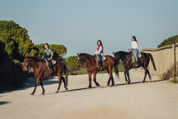 Female horseback riders riding horses while crossing countryside road