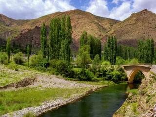 Fototapeta premium river in the mountains