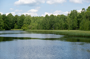 Lake in green nature with blue sky and white clouds