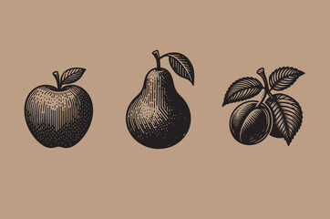 Apple, pear and plum. Engraving. black simple icons. Fruit, design, illustration. Ink drawing. Vintage.