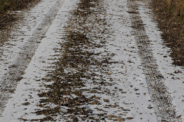 tire tracks on fresh snow