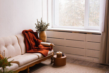Cozy sofa with a blanket near the window, branches of a fir tree in a vase. Christmas Home...