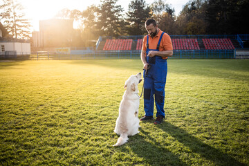 Time to study.Man training his dog.The trainer teaches the dog basic exercises.