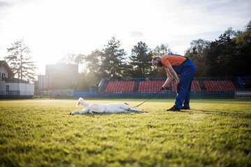 Time to study.Man training his dog.The trainer teaches the dog basic exercises.