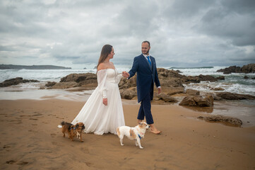 Walking by the Beach with Their Pets