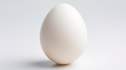 White egg isolated on white background
